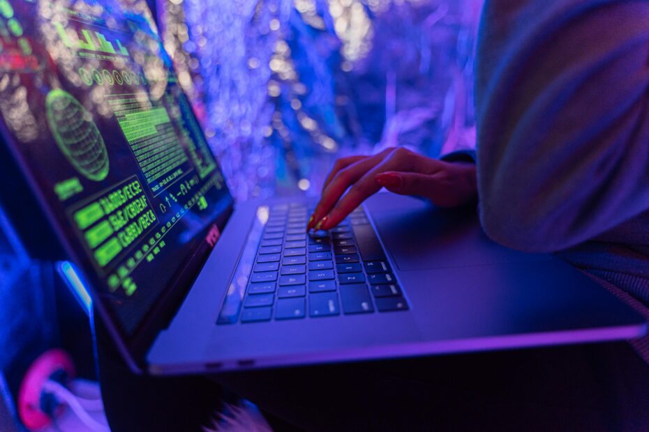 A person opening security system on a laptop.